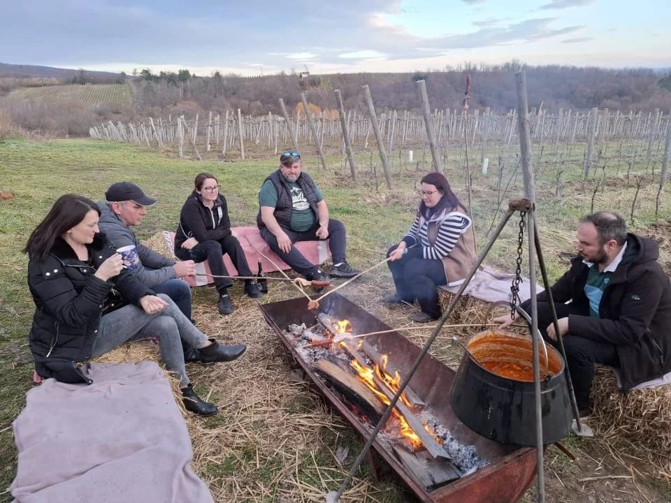 Proslava Vincelova u vinogradu obitelji Sontacchi u Venju i prvi vincilir u kratkim rukavima
