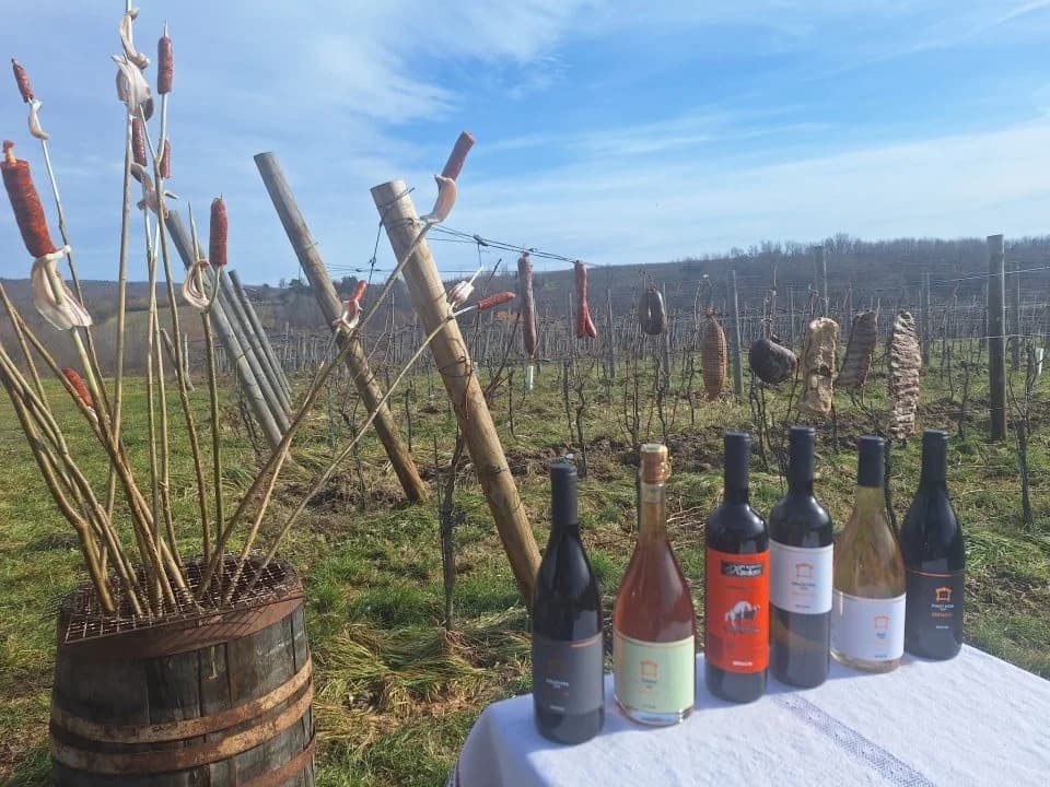 Proslava Vincelova u vinogradu obitelji Sontacchi u Venju i prvi vincilir u kratkim rukavima