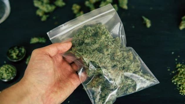Na području Velike i Kaptola pronađena marihuana