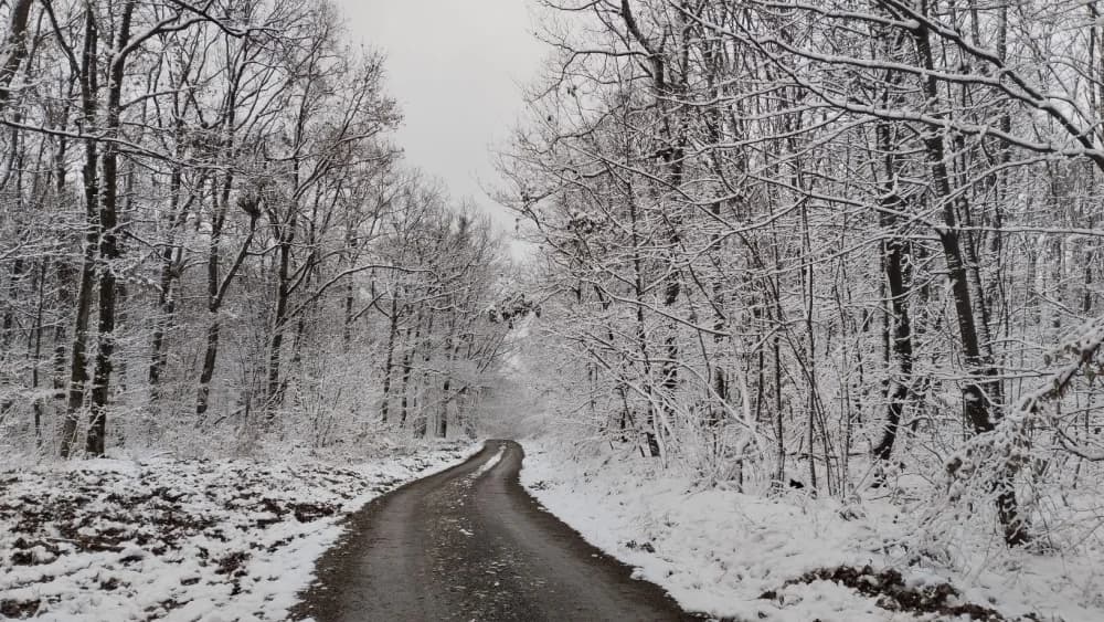 Dječji izlet na Požešku goru - nedjelja 16.02.2025.