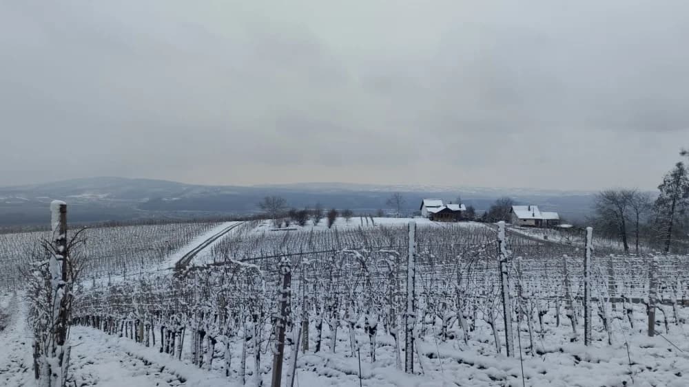 Dječji izlet na Požešku goru - nedjelja 16.02.2025.