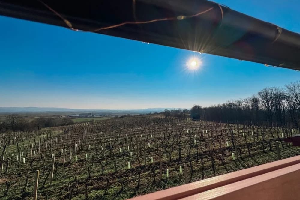 Kuća za odmor Baron – Oaza mira usred kutjevačkih vinograda