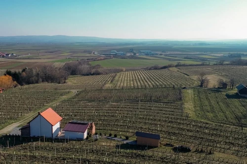 Kuća za odmor Baron – Oaza mira usred kutjevačkih vinograda