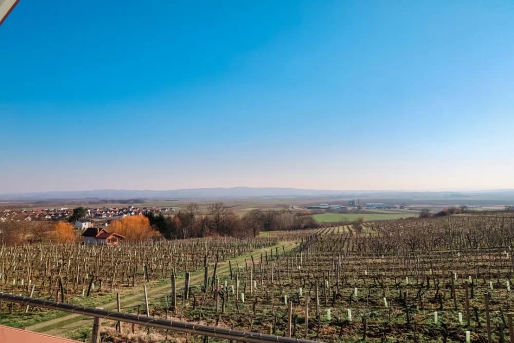 Kuća za odmor Baron – Oaza mira usred kutjevačkih vinograda