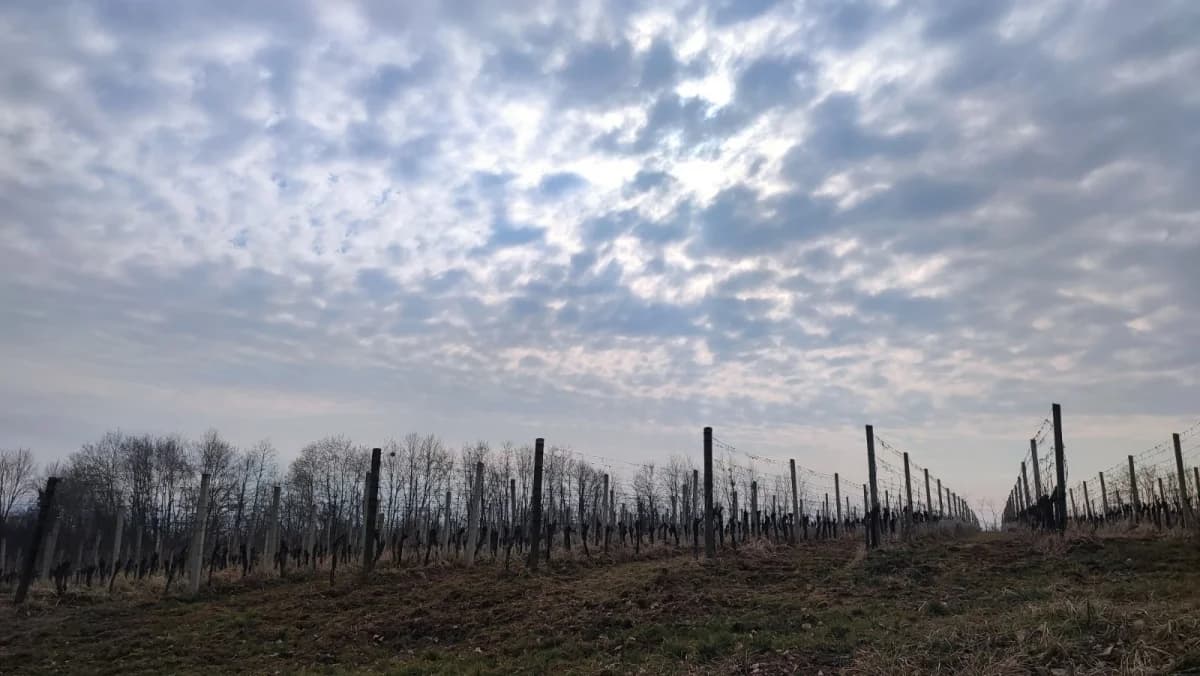 Planinarski pohod ’Malo cugom, više cipelcugom’ oduševio sudionike