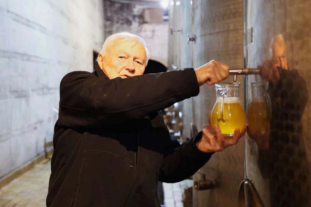 Tamburaši iz Mostara gostovali u Kutjevu i posjetili vinarije