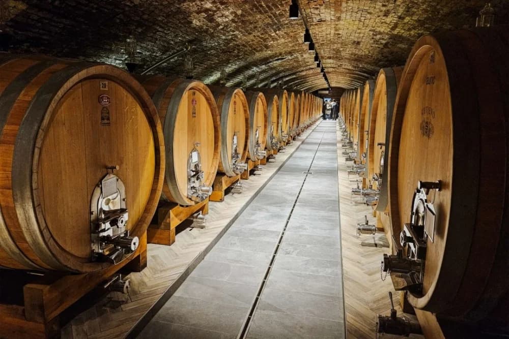 Tamburaši iz Mostara gostovali u Kutjevu i posjetili vinarije