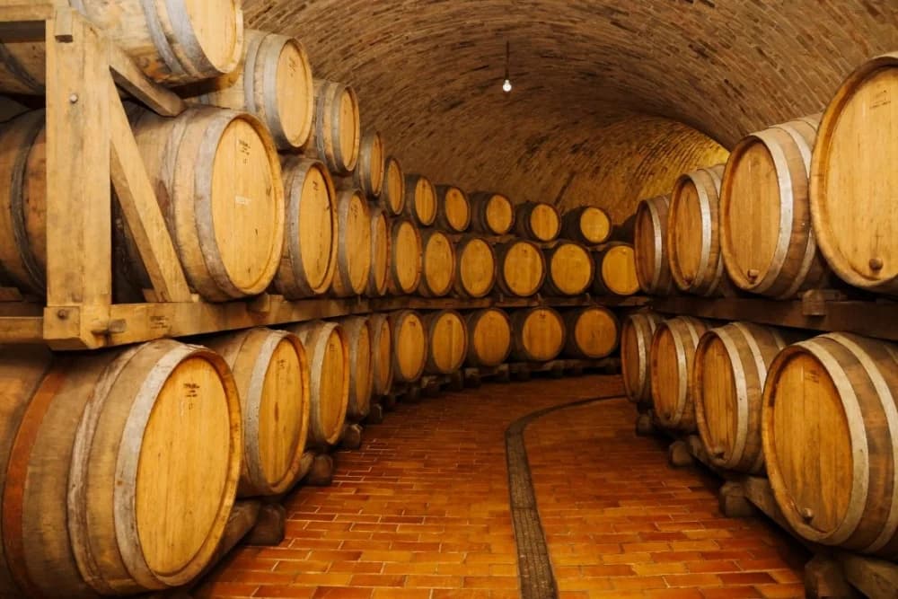 Tamburaši iz Mostara gostovali u Kutjevu i posjetili vinarije