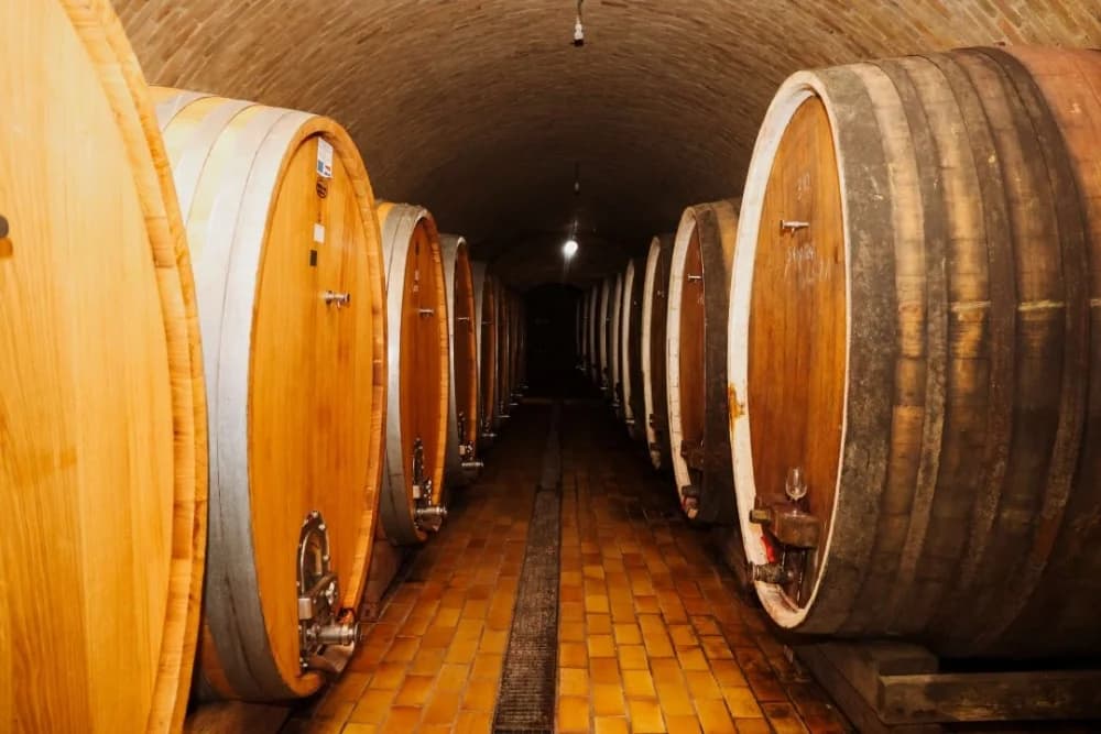 Tamburaši iz Mostara gostovali u Kutjevu i posjetili vinarije