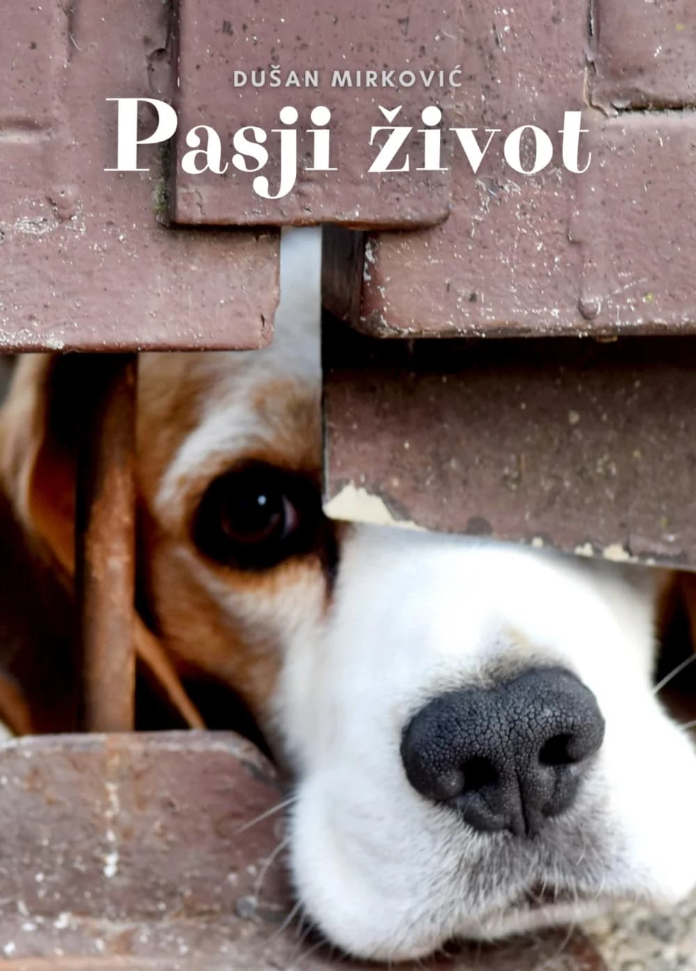 U utorak otvorenje izložbe fotografija Dušana Mirkovića „Pasji život“ u Požegi