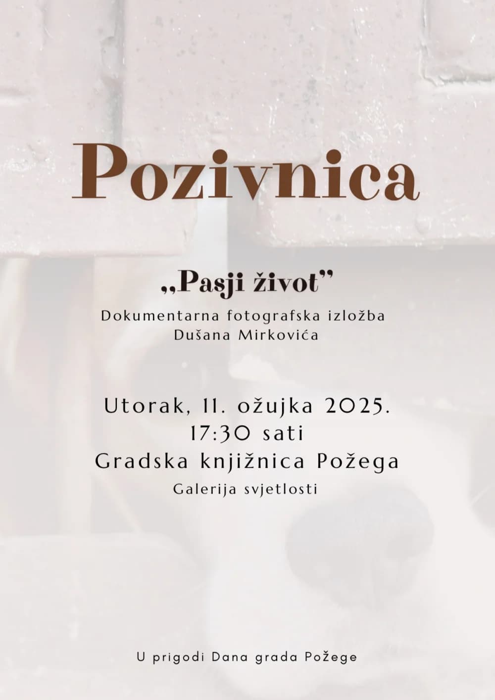 U utorak otvorenje izložbe fotografija Dušana Mirkovića „Pasji život“ u Požegi