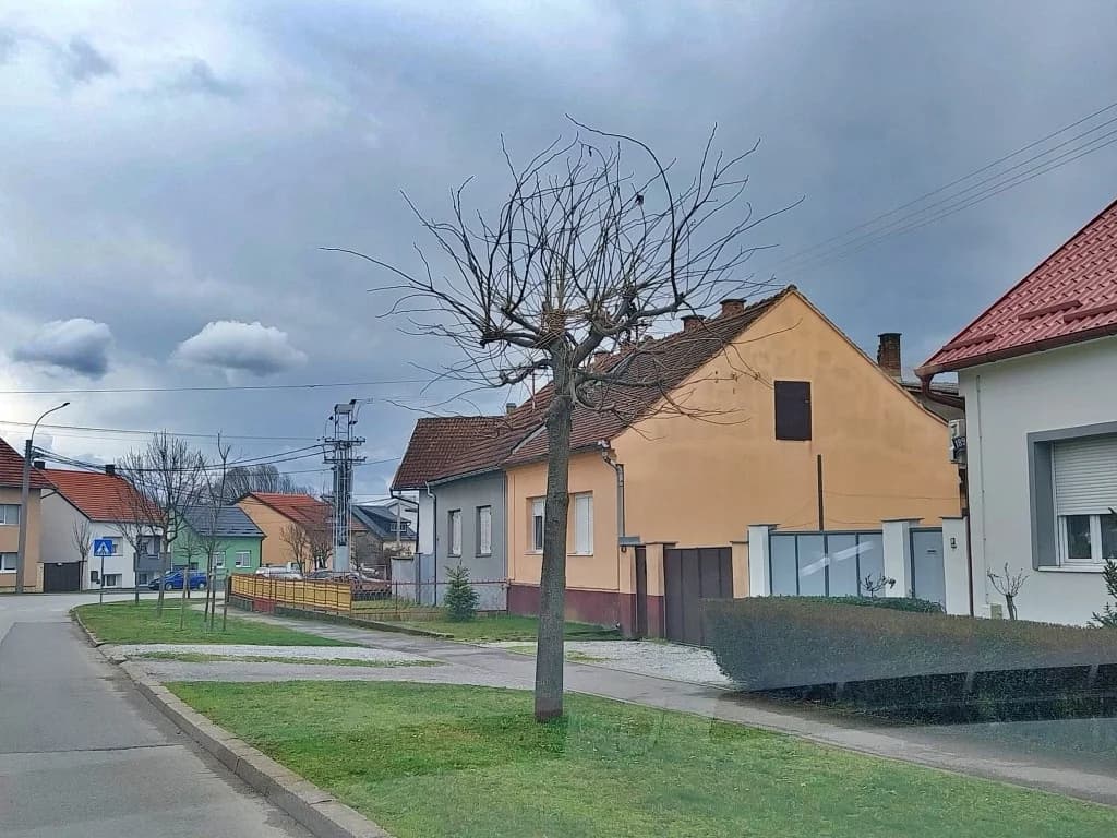 Obavijest: Orezivanje stabala prepustite djelatnicima Komunalca