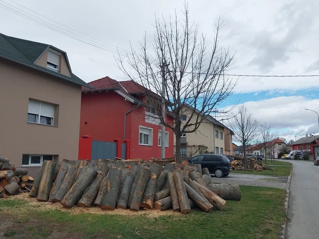 Obavijest: Orezivanje stabala prepustite djelatnicima Komunalca