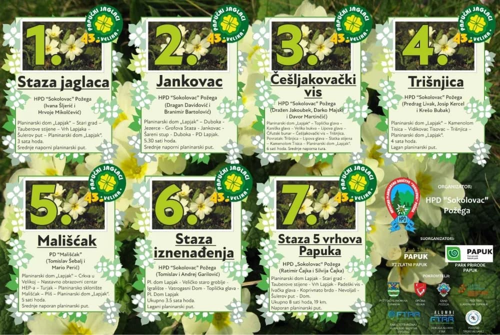 Papuk će procvjetati u znaku jaglaca: Najavljeni 43. Papučki jaglaci s bogatim dvodnevnim programom