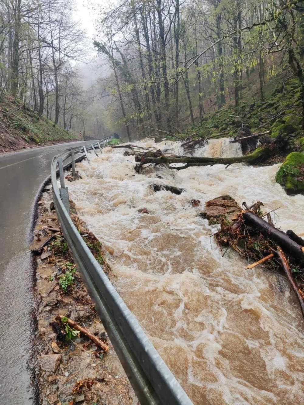 FOTO: Zbog poplava se ne može do Jankovca