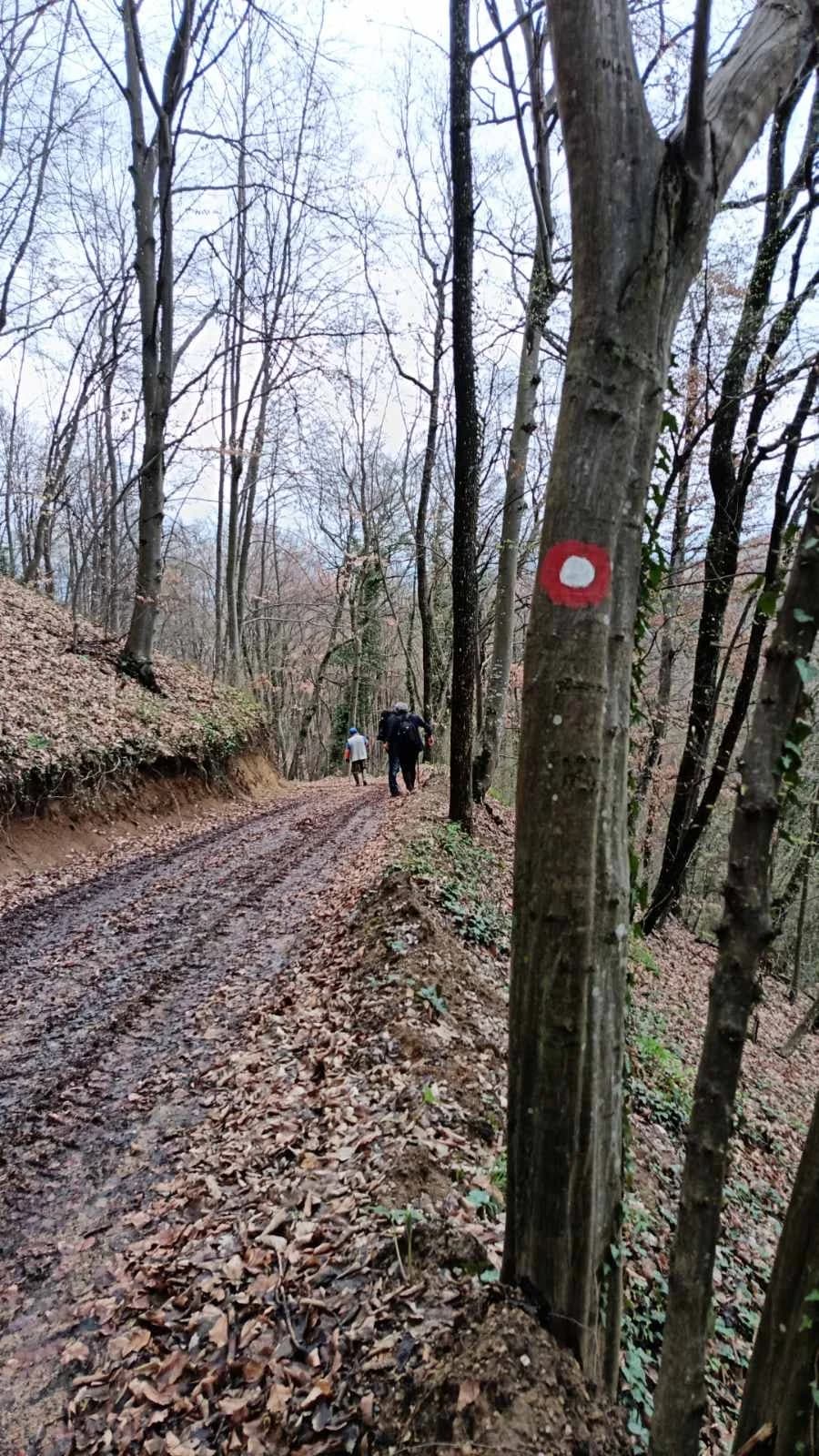 Hrabri Sokolovci prkose kiši i uživaju u ljepotama Sedam brana