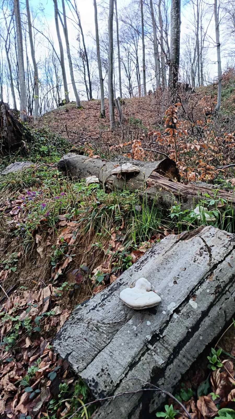 Hrabri Sokolovci prkose kiši i uživaju u ljepotama Sedam brana