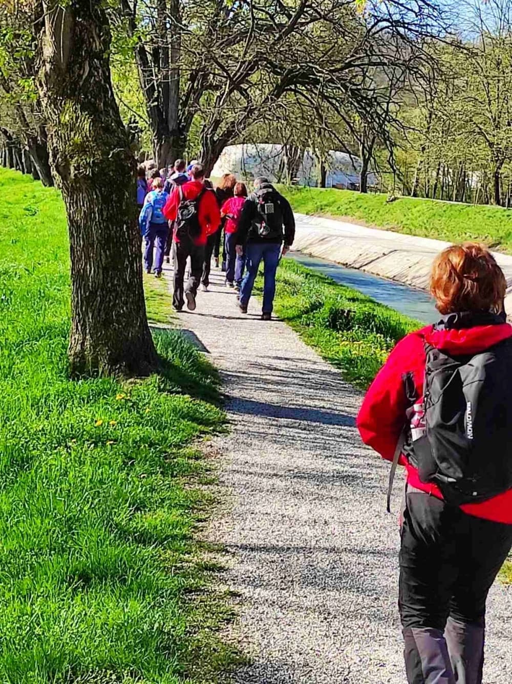 Požeški planinari tragom povijesti: HPD „Sokolovac“ pohodio Hrastovičku goru