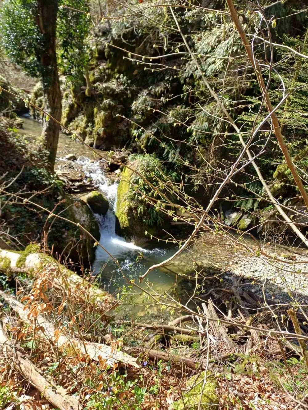 ’Gojzerice’ u nedjelju obišle Španovicu - Čaklovačku kulu - Omanovac