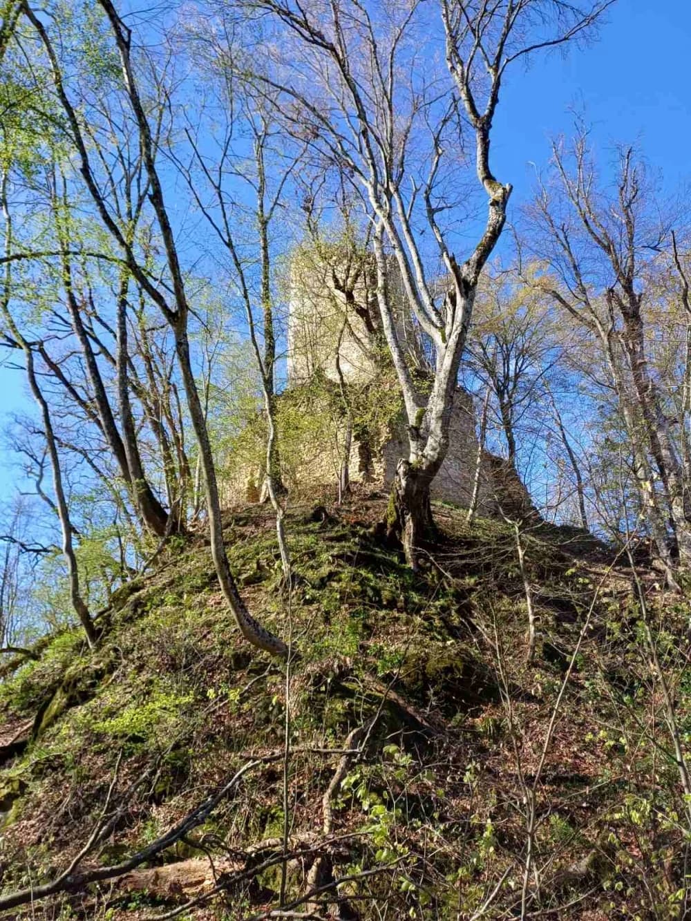 ’Gojzerice’ u nedjelju obišle Španovicu - Čaklovačku kulu - Omanovac