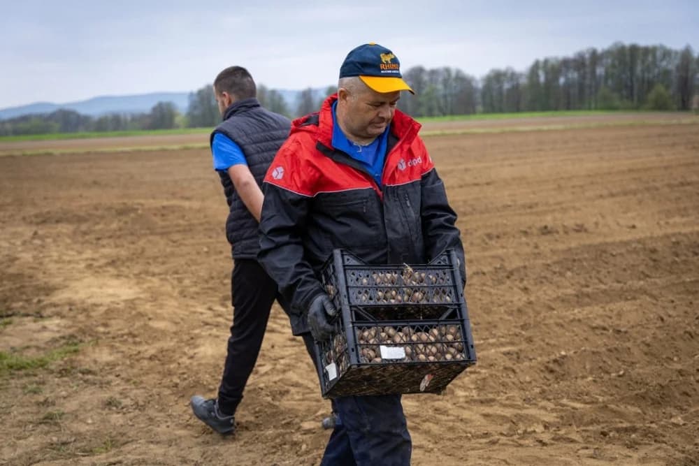 Priča o OPG-u Šimić: Vrijedna obitelj iz Bjeliševca koja živi od zemlje