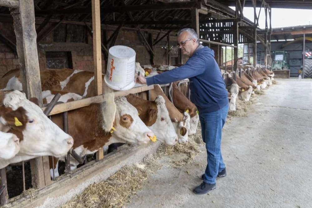 Priča o OPG-u Zlatko Rast iz Ferovca: 25 godina predanosti stočarstvu