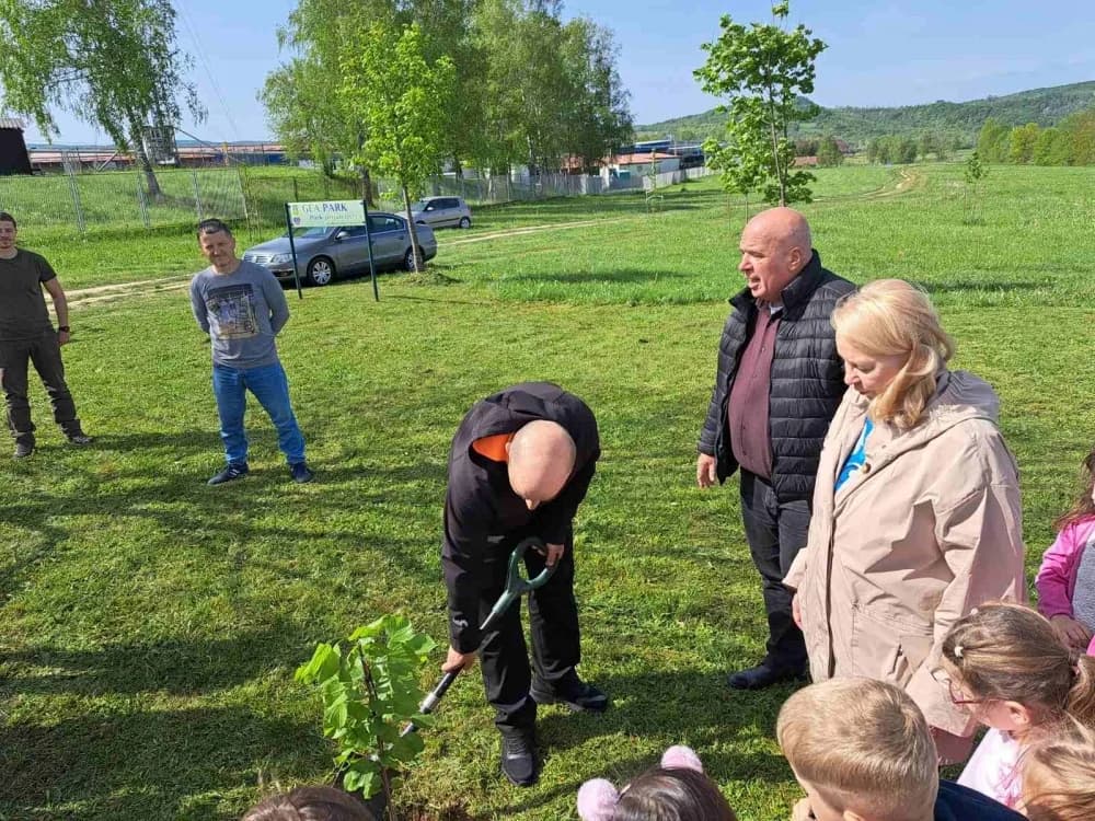 Lipik: Djeca zasadila stablo lipe za zdraviju i zeleniju budućnost