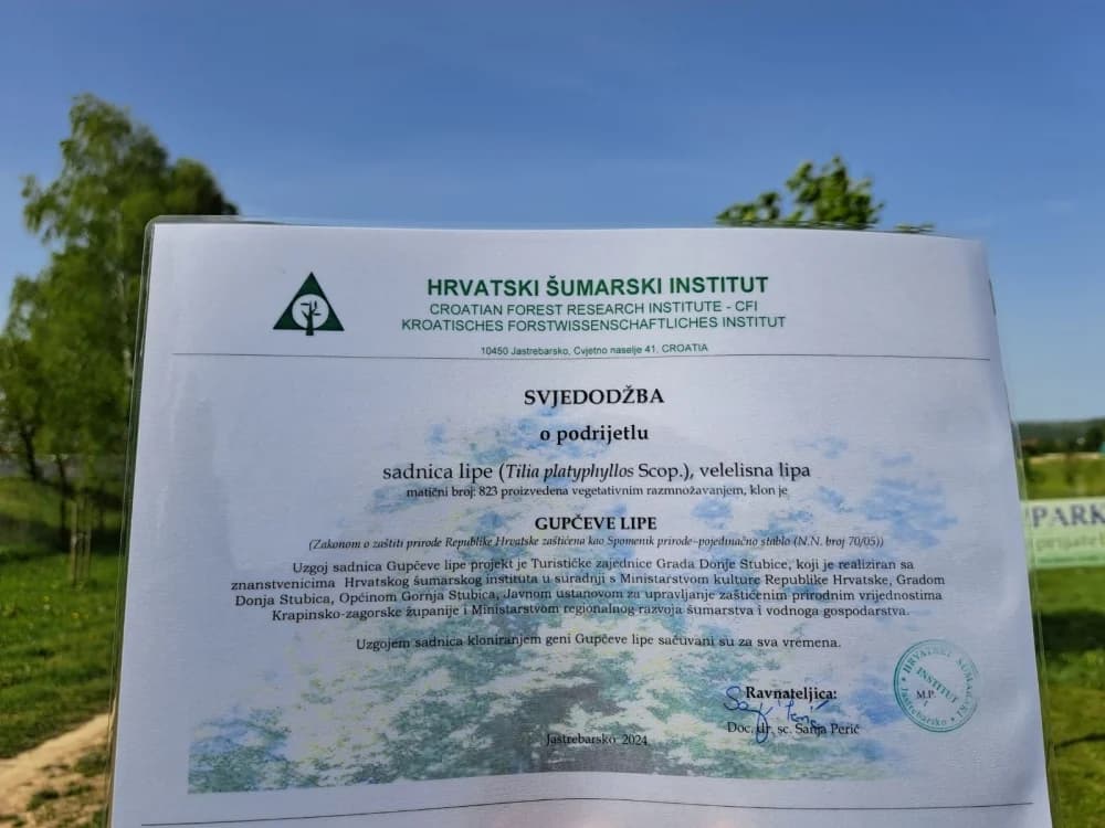 Lipik: Djeca zasadila stablo lipe za zdraviju i zeleniju budućnost