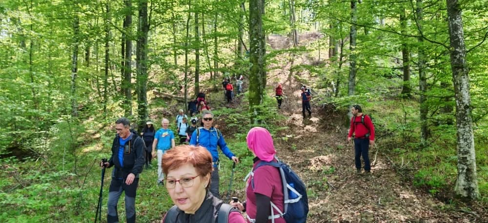 ’Gojzerice’ pohodile manifestaciju ’Od Ivane do Tadije’