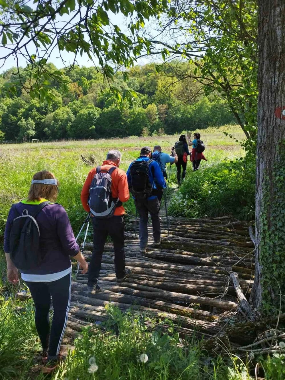 ’Gojzerice’ pohodile manifestaciju ’Od Ivane do Tadije’