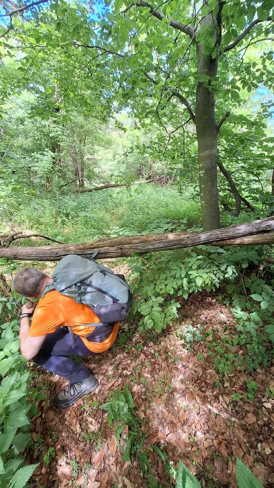 Planinarenje kroz divljinu: Izlet od Brčna do Pljuskare pun izazova i zajedništva
