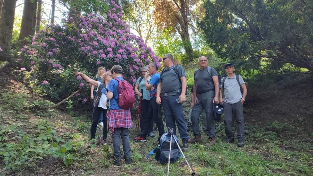 Požeški planinari i Alumni FTRR oduševljeni ljepotama Rupnice i Arboretuma Lisičine