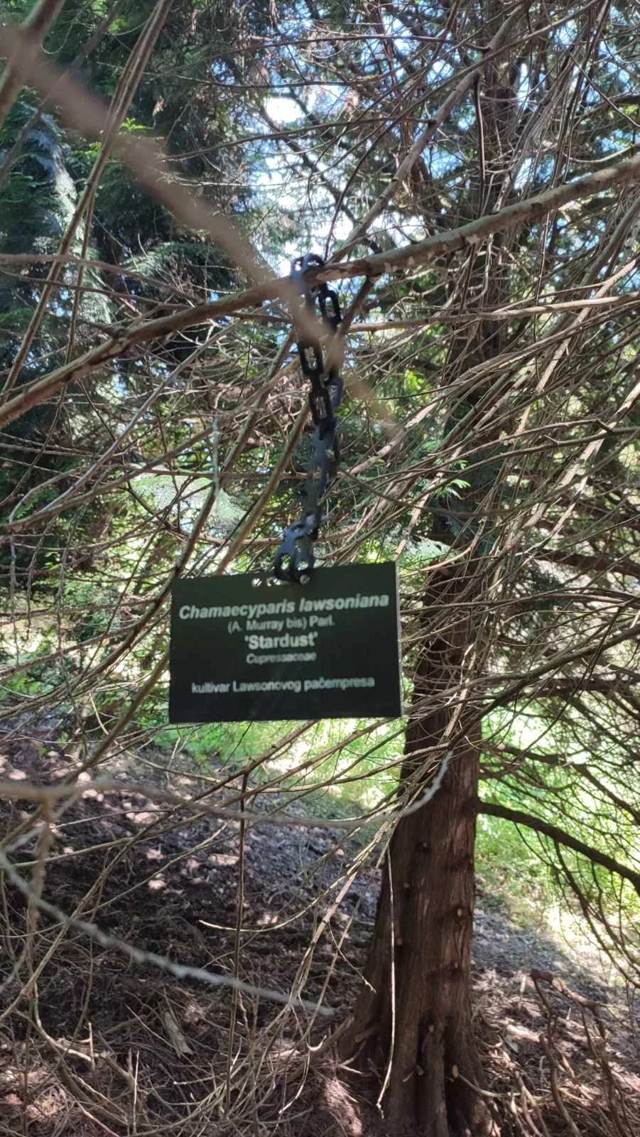 Požeški planinari i Alumni FTRR oduševljeni ljepotama Rupnice i Arboretuma Lisičine