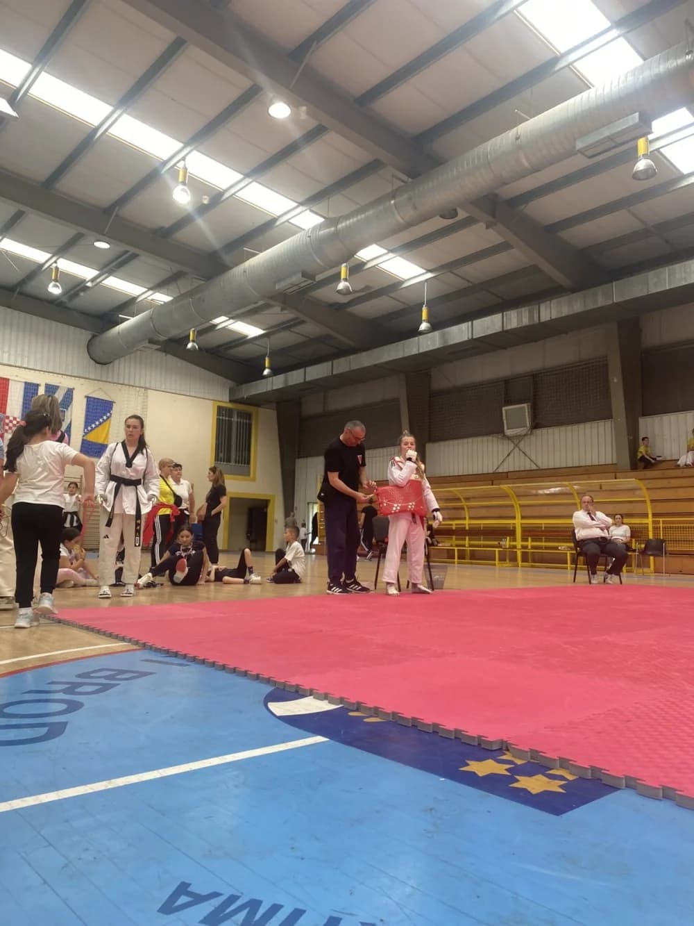Veliki uspjeh Taekwon-do kluba ’Velika’ na međunarodnom natjecanju u Slavonskom Brodu