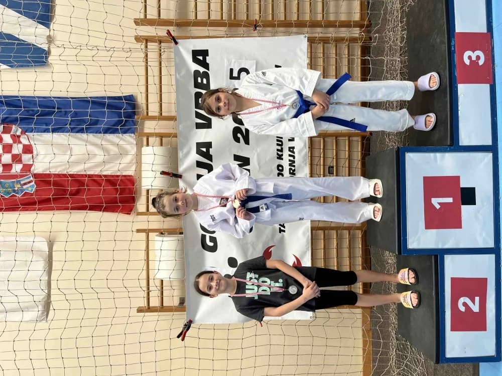 Veliki uspjeh Taekwon-do kluba ’Velika’ na međunarodnom natjecanju u Slavonskom Brodu