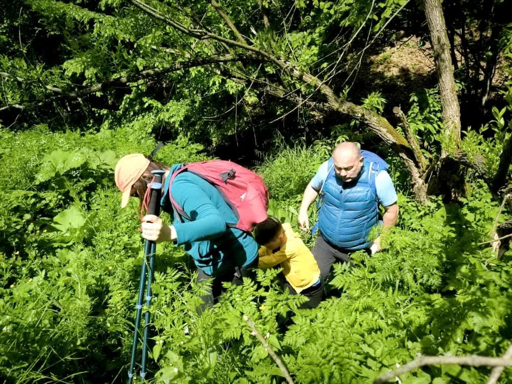 Botanički izlet na Papuk - HPD Gojzerica Požega