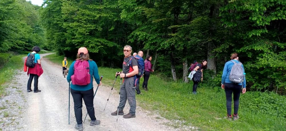 Botanički izlet na Papuk - HPD Gojzerica Požega