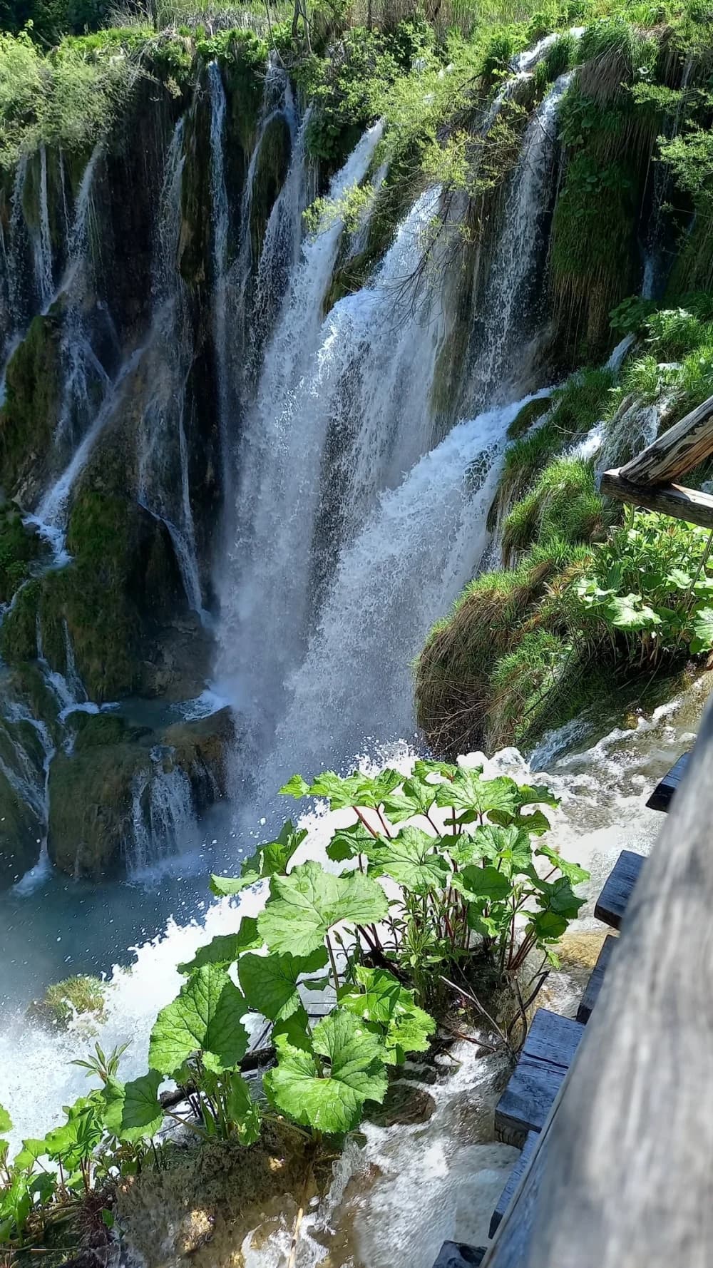 Planinarski izlet članova HPD Sokolovca: Poučan i inspirativan pohod kroz Plitvička jezera