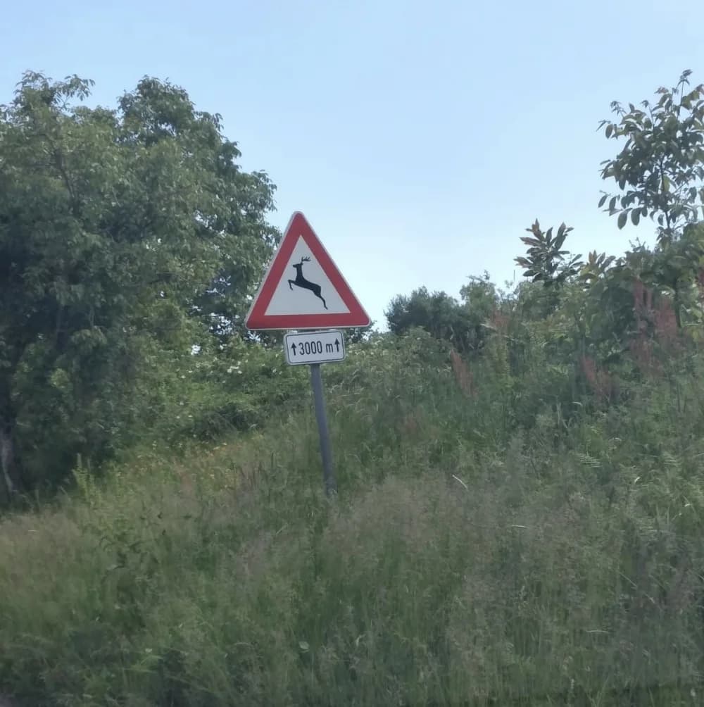Granica između Požege i Nove Kapele kao granica svjetova: S jedne strane džungla, s druge strane red i čistoća