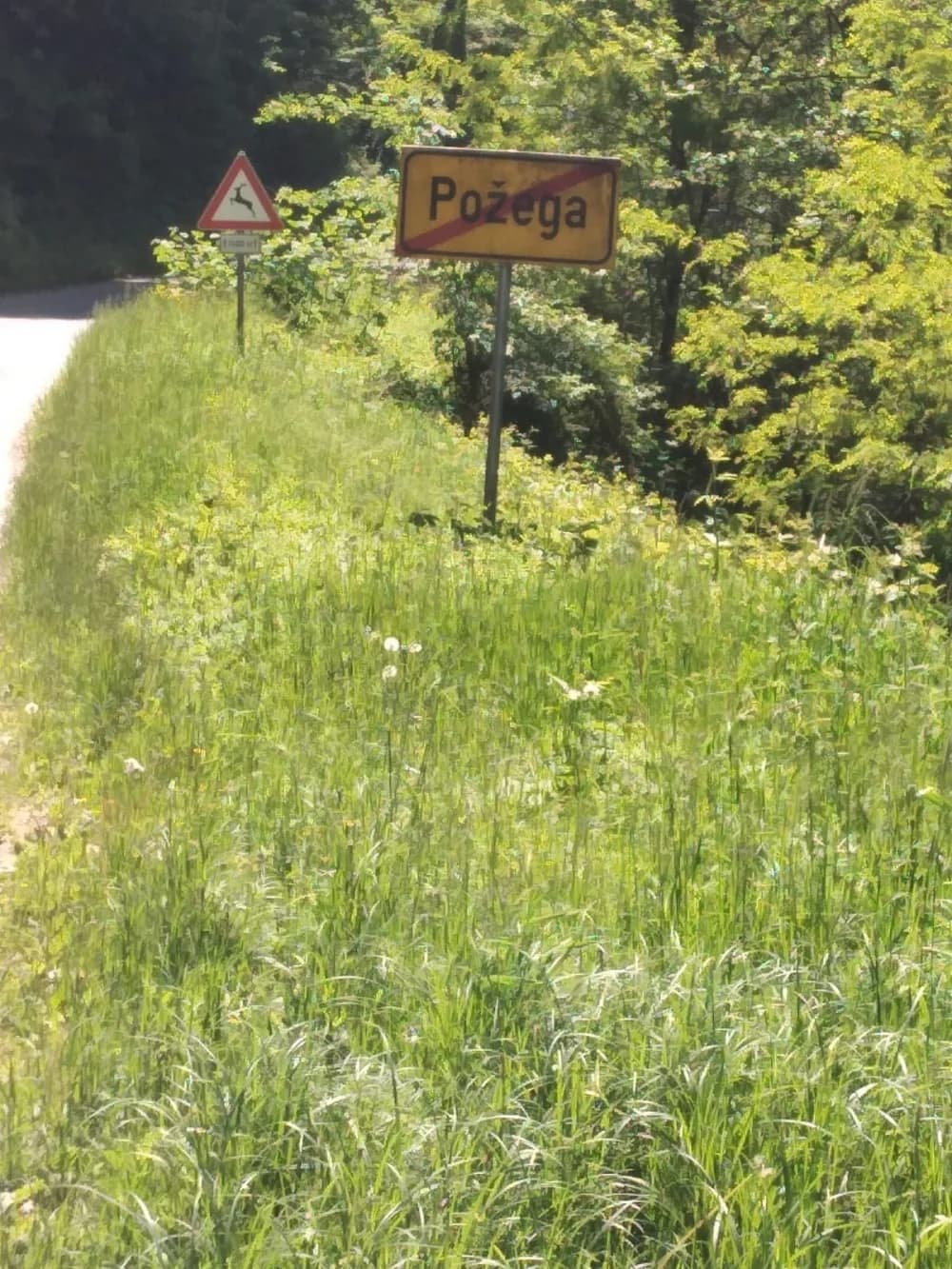 Granica između Požege i Nove Kapele kao granica svjetova: S jedne strane džungla, s druge strane red i čistoća
