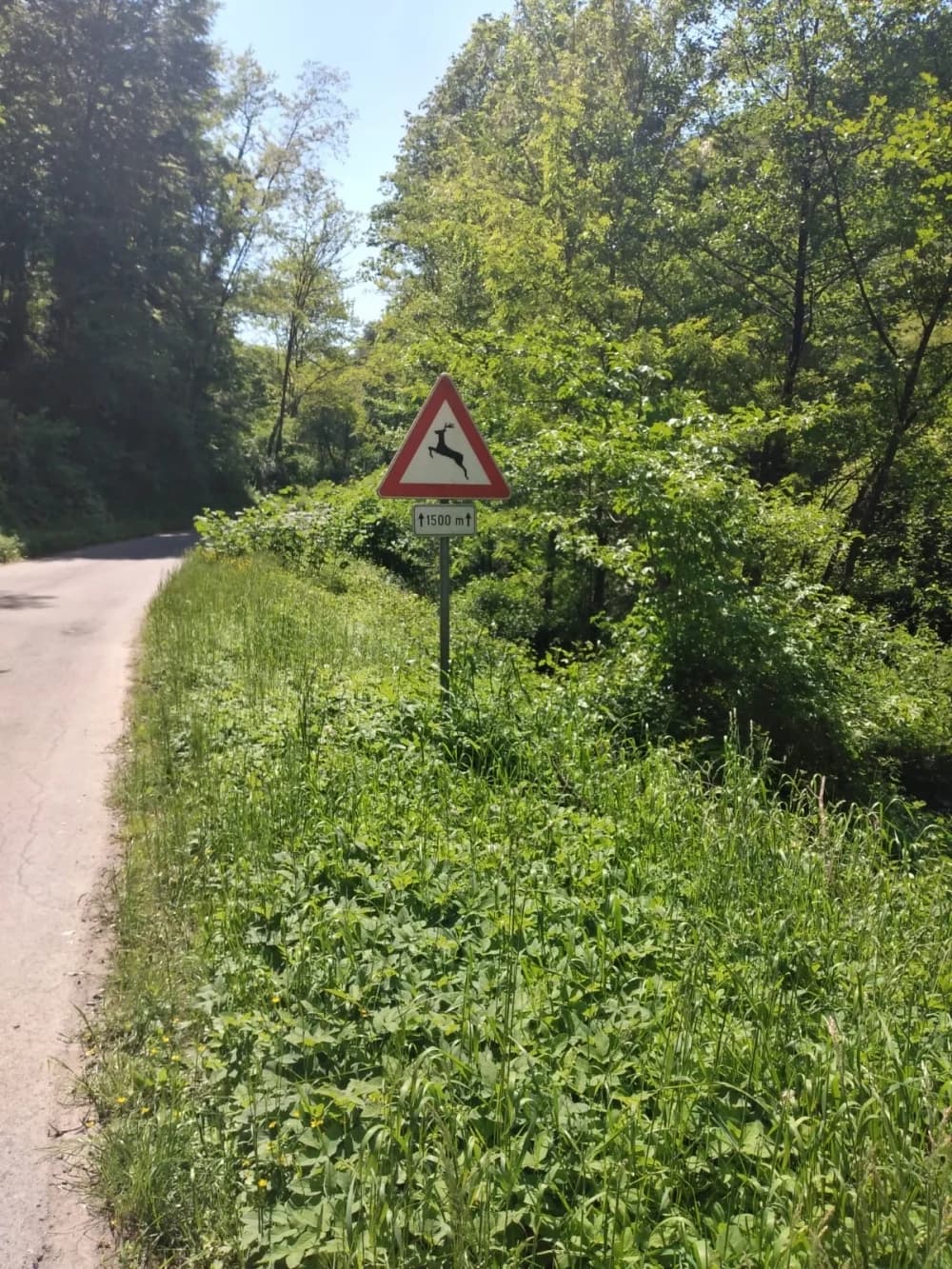 Granica između Požege i Nove Kapele kao granica svjetova: S jedne strane džungla, s druge strane red i čistoća