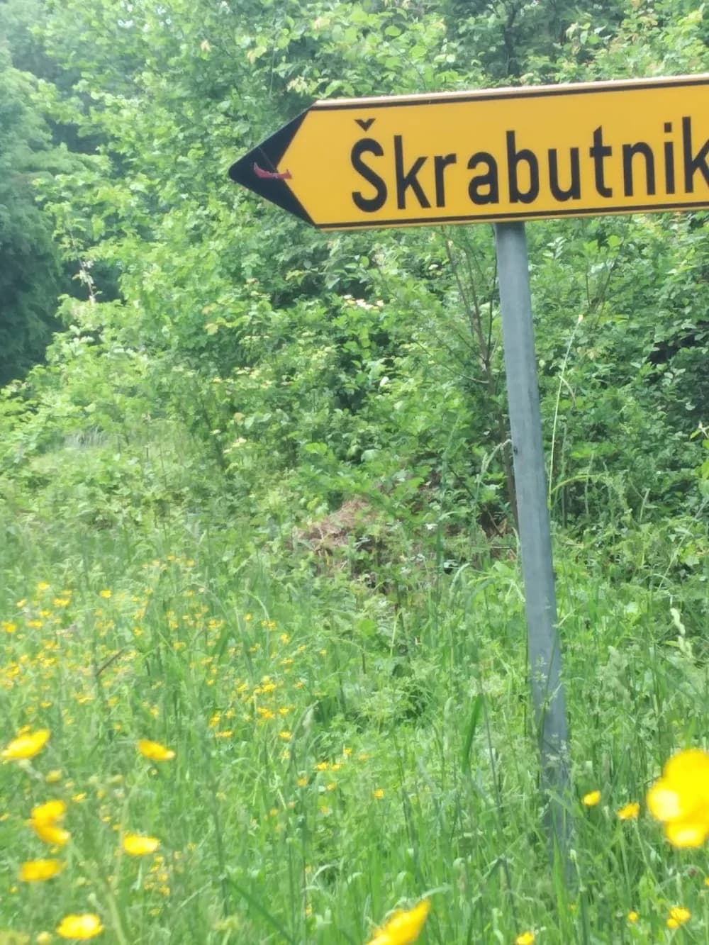 Granica između Požege i Nove Kapele kao granica svjetova: S jedne strane džungla, s druge strane red i čistoća