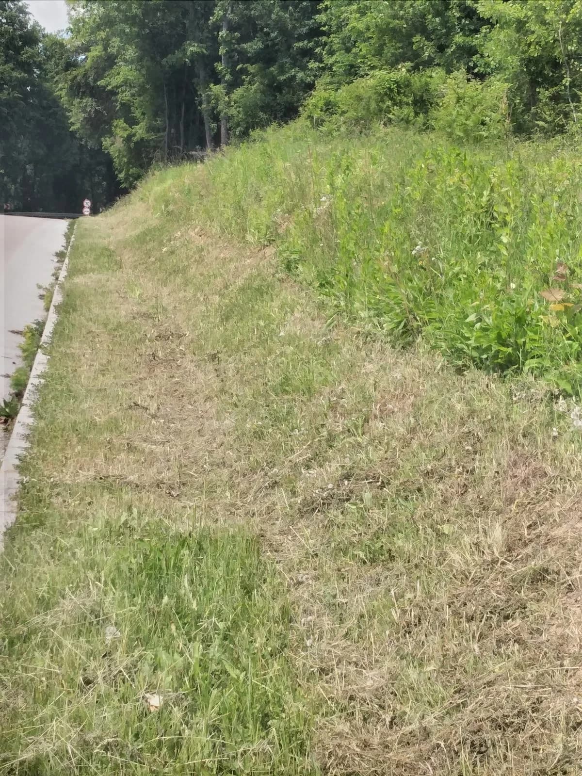 Granica između Požege i Nove Kapele kao granica svjetova: S jedne strane džungla, s druge strane red i čistoća