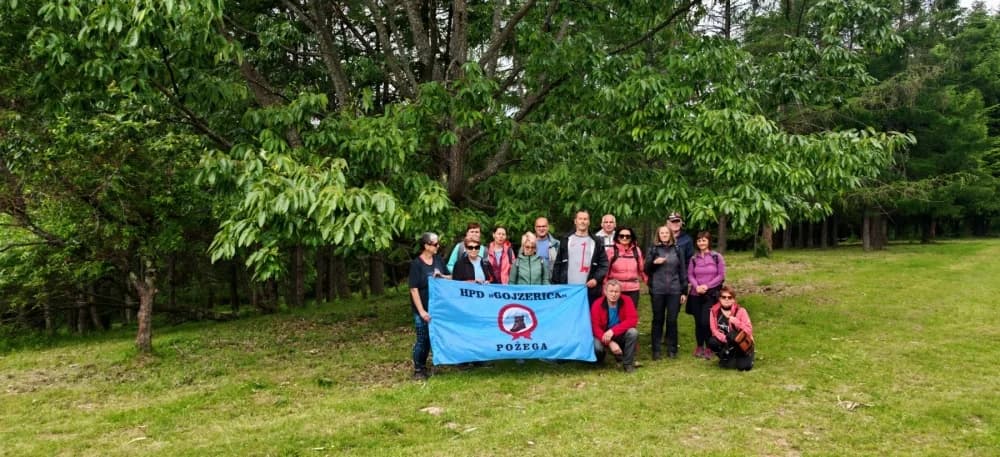 Arboretuma Lisičine - HPD Gojzerica Požega - nedjelja 18.05.2025.