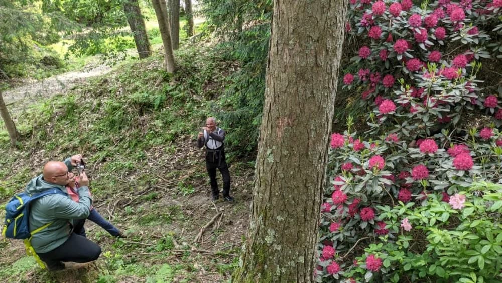 Arboretuma Lisičine - HPD Gojzerica Požega - nedjelja 18.05.2025.