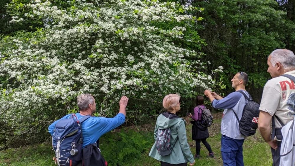 Arboretuma Lisičine - HPD Gojzerica Požega - nedjelja 18.05.2025.