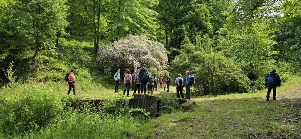 Arboretuma Lisičine - HPD Gojzerica Požega - nedjelja 18.05.2025.