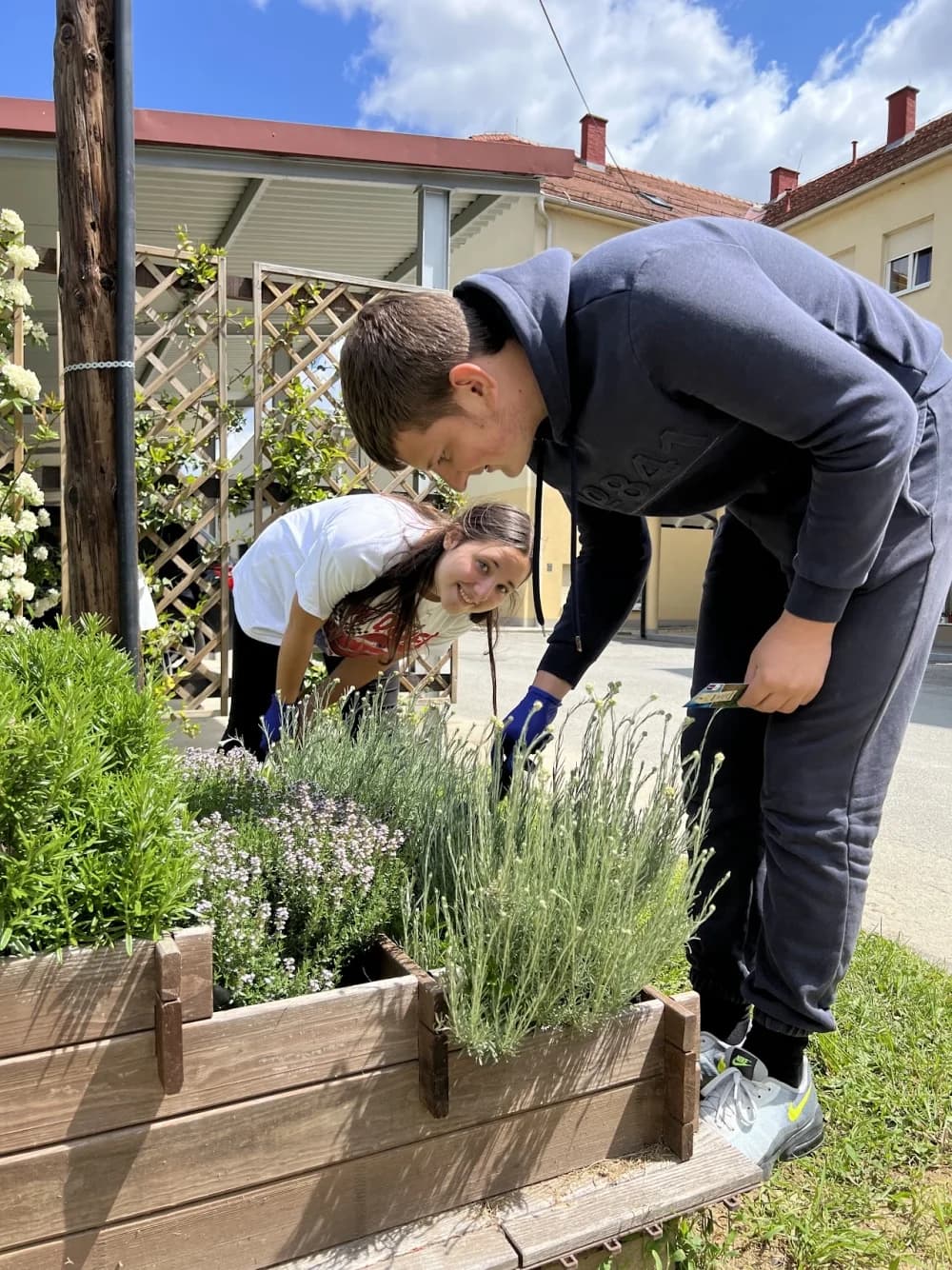 Proveden projekt:“Bee kind to nature”