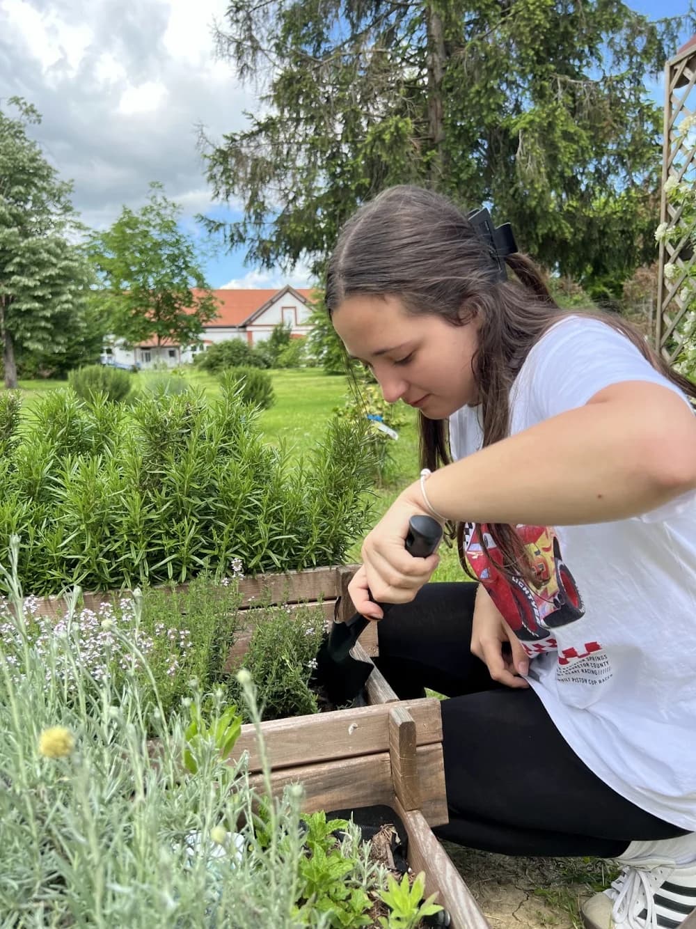 Proveden projekt:“Bee kind to nature”