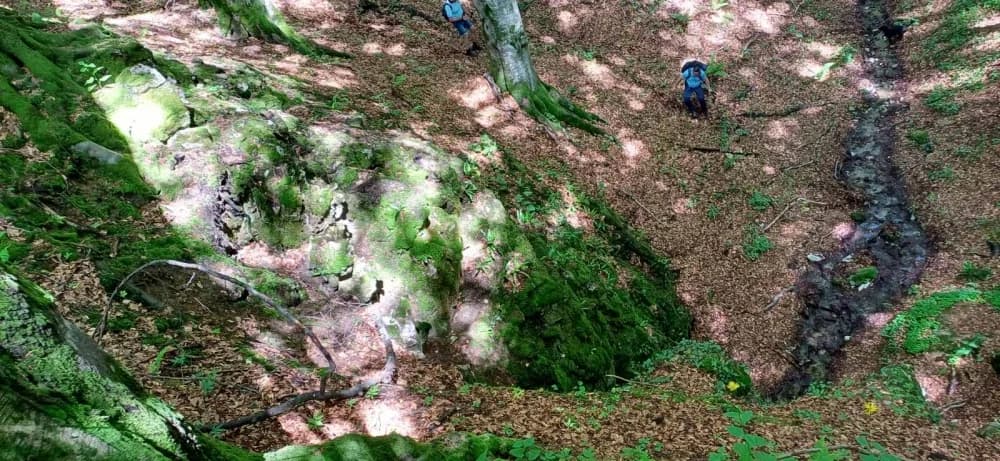 Izlet na vrh Papuka - HPD Gojzerica Požega - nedjelja 25.05.2025.